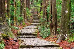 熊野古道
