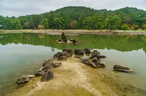 毛越寺の庭園