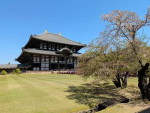 東大寺の大仏殿